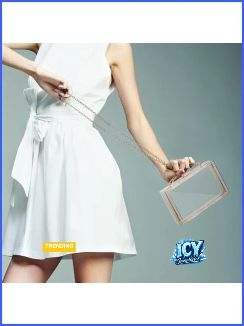 Clear Acrylic Box Clutch Stadium Approved Crossbody with Gold Chain Detachable